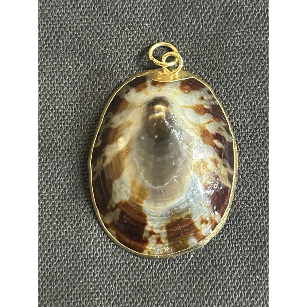 Polished Limpet Shell Pendant Alchemia Zero Karat Gold Trim Earthy Browns J339
